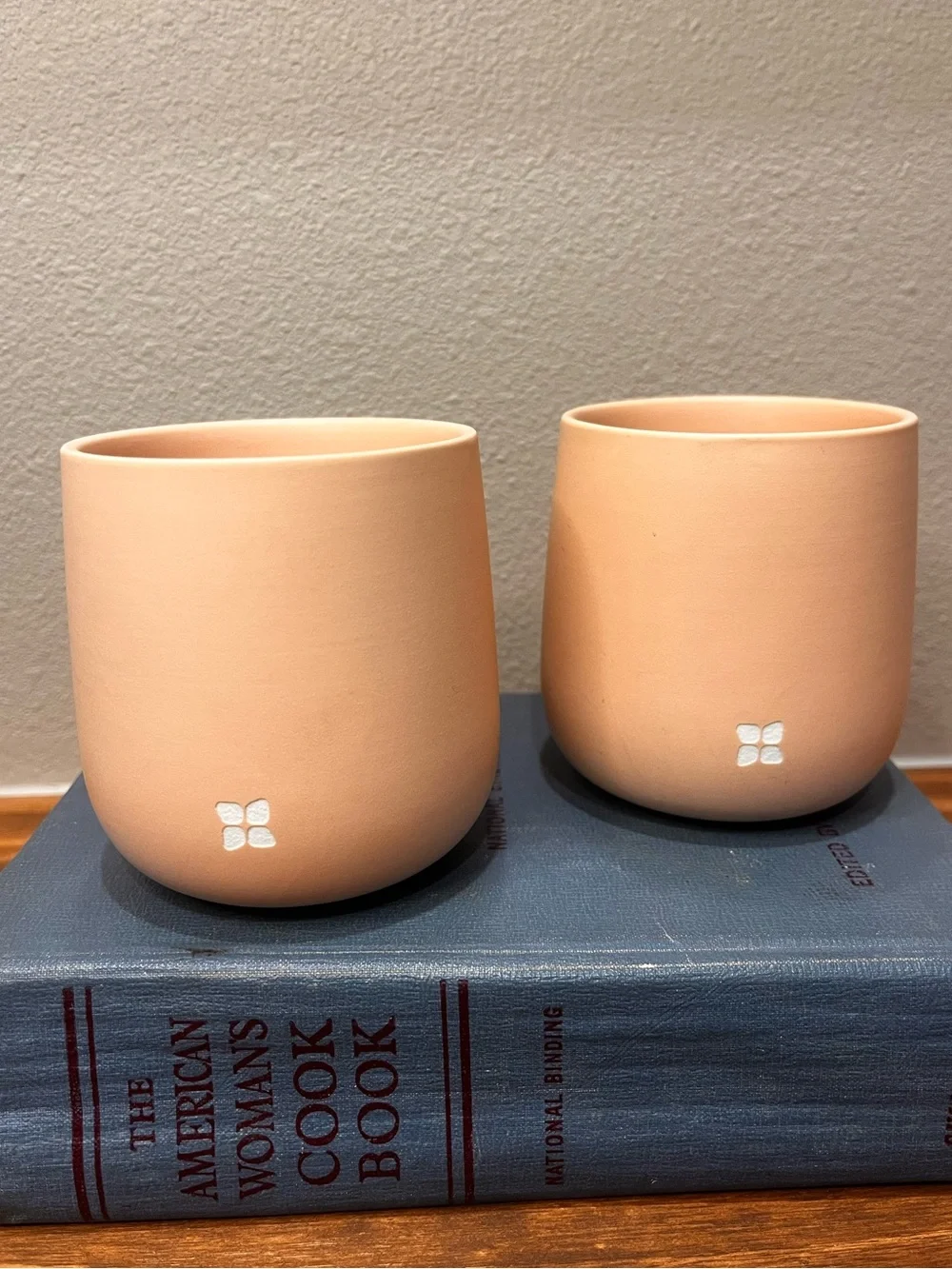Waterdrop Porcelain Cups Set of 2-13 oz Pastel Orange Sleek Double Walled